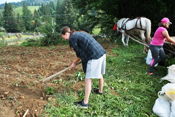 128_Práce na poli - kopání brambor